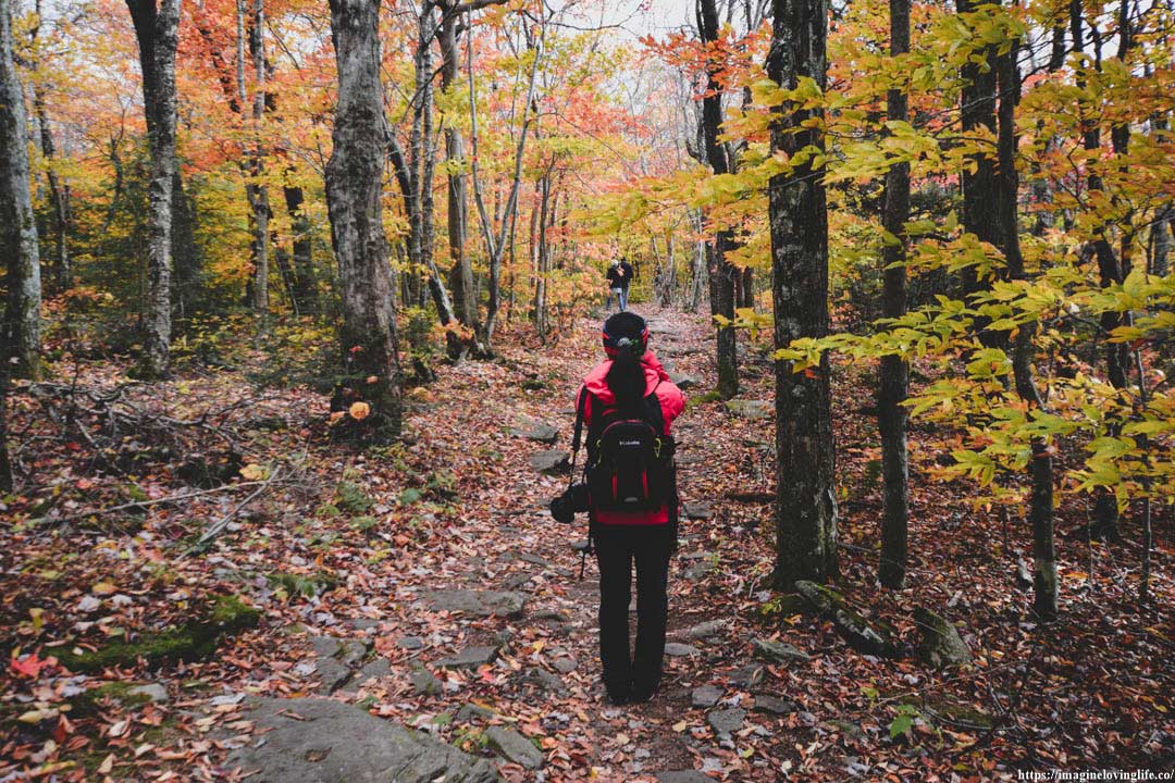 Trail going back